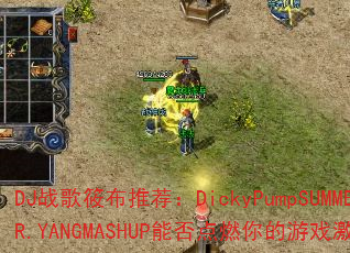 DJս���㲼�Ƽ���DickyPumpSUMMER.YANGMASHUP�ܷ��ȼ�����Ϸ���飿