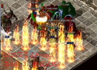 2025������Progս��Vol.3���ռ�������