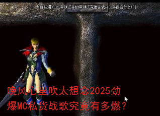 �������ﴵ̫����2025����MC˽��ս�辿���ж�ȼ��