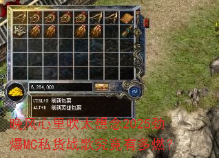 �������ﴵ̫����2025����MC˽��ս�辿���ж�ȼ��