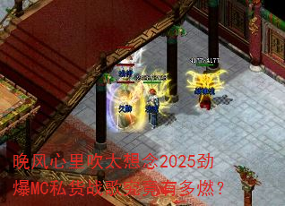 �������ﴵ̫����2025����MC˽��ս�辿���ж�ȼ��