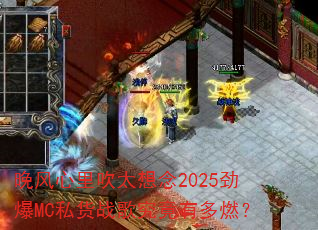 �������ﴵ̫����2025����MC˽��ս�辿���ж�ȼ��