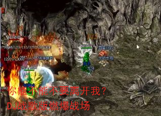 ���ܲ��ܲ�Ҫ�뿪�ң�DJս���ȼ��ս��