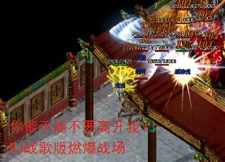���ܲ��ܲ�Ҫ�뿪�ң�DJս���ȼ��ս��