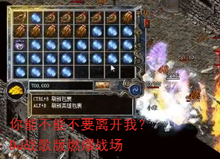 ���ܲ��ܲ�Ҫ�뿪�ң�DJս���ȼ��ս��