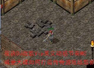 ҹ��DJս��VipӢ�Ķ��н���MC��������δ��촫����Ϸս��������
