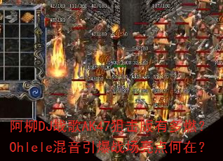 ����DJս��AK47�ѻ����ж�ȼ��Ohlele��������ս��������ڣ�