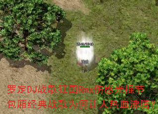 �޶�DJս�����Rmx�˸й���ڰ��ᾭ��ս��Ϊ��������Ѫ���ڣ�
