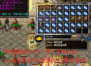 ��������2025�����˽�DeepHouseս����ε�ȼ�����Ϸ����