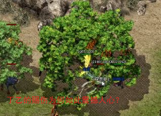 ���ҵĴ���Ϊ����������ģ�