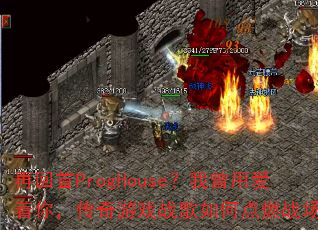 �ٻ���ProgHouse�������ð����㣬������Ϸս����ε�ȼս����
