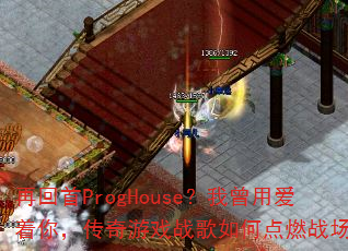 �ٻ���ProgHouse�������ð����㣬������Ϸս����ε�ȼս����