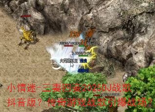 С����-�������2025DJս�趶���棿������Ϸս������ս����