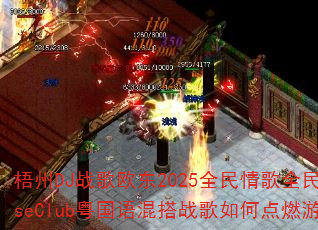 ����DJս��ŷ��2025ȫ�����ȫ����HouseClub��������ս����ε�ȼ��Ϸս��