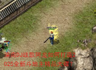 ����DJս�谢����δ���2025ȫ�¶�������Ʒ�����