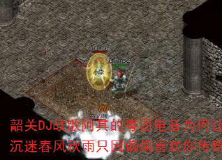 �ع�DJս�谢����������Ϊ�����˳��Դ�������ֻ��ƫƫϲ���㴫�棿