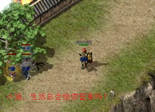 小涵,生活总会给你答案吗? 小涵,生活总会给你答案吗?