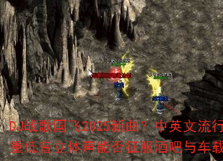 DJս�����2025��������Ӣ�������ص����������ܷ������ư��복�ؿռ䣿
