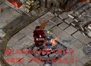 տ��DJս��С˧�ġ��ͷ���ļ��顷Ϊ�������˸����᣿