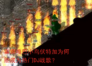�����°�С����ؼ�Ϊ���ܳ�Ϊ����DJս�裿