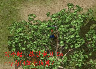 �Բ���ս������-SorryΪ��������㣿