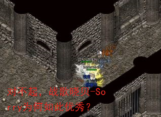 �Բ���ս������-SorryΪ��������㣿