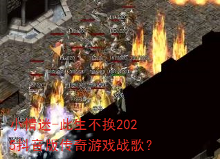 С����-��������2025�����洫����Ϸս�裿