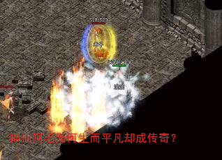 ���ɰ�ëΪ������ƽ��ȴ�ɴ��棿