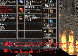 ˭�ڳ������Ұ�����ȴ������DJս�谢��ProgHouseMix�����У�