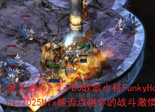 ������vol.2��DJս��СԣFunkyHouse2025Mix�ܷ��ȼ���ս�����飿