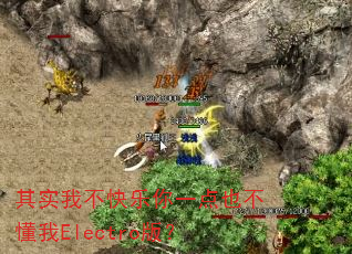 ��ʵ�Ҳ�������һ��Ҳ������Electro�棿