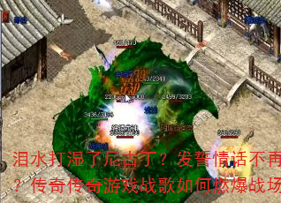 ��ˮ��ʪ����Ŷ��������黰�����������洫����Ϸս�����ȼ��ս����