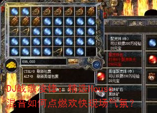 DJս����棺��ѡHouse������ε�ȼ�����ֳ����գ�