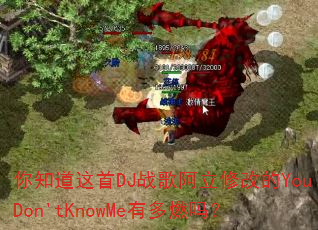 ��֪������DJս�谢���޸ĵ�YouDon'tKnowMe�ж�ȼ��