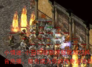 С����-С��DJս�赯�İ�2025�����Ȳ����ܷ��Ϊ��Ĵ�����Ϸս�裿