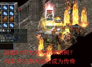 ս��Ҷ�д�紵����ͩ�����г����������ܷ��Ϊ����