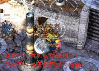 ս��Ҷ�д�紵����ͩ�����г����������ܷ��Ϊ����
