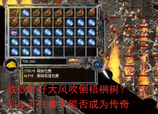 ս��Ҷ�д�紵����ͩ�����г����������ܷ��Ϊ����