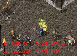 1K-�����˰ɣ�DJս��A5FunkyHouse2025Rmxȫ�»�����