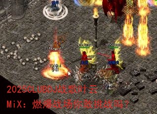 2025CLUBDJս��Ҷ��MiX��ȼ��ս�������ս��
