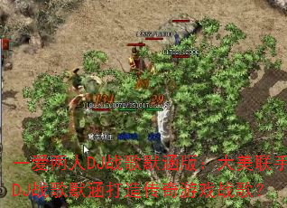 һ������DJս��Ĭ���棺��������DJս��Ĭ�����촫����Ϸս�裿