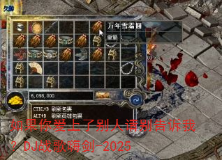 ����㰮���˱����������ң�DJս���˽�-2025