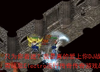 ֻΪ�����ԣ�������İ�����DJս��Ҷ�й���ѩս��Electro���д��洫����Ϸս��