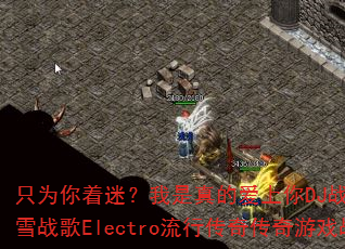 ֻΪ�����ԣ�������İ�����DJս��Ҷ�й���ѩս��Electro���д��洫����Ϸս��