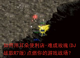 ����ö��������-�ѳ�õ��(DJս��R7��)��ȼ�����Ϸս����