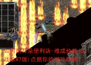 ����ö��������-�ѳ�õ��(DJս��R7��)��ȼ�����Ϸս����