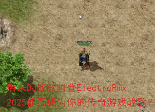 ����DJս�谢��ElectroRmx2025�ܷ��Ϊ��Ĵ�����Ϸս�裿