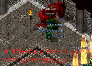 ��������ż�į���������2025����ȼ������Ϸս�裿